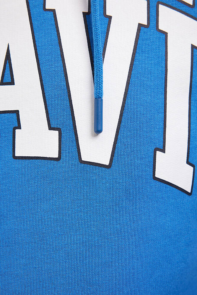 Erkek Mavi Logo Baskılı Sweatshirt 067149-81347 Mavi 