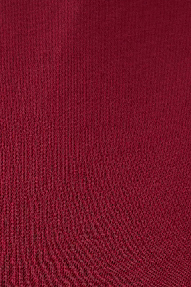 Erkek Regular Fit Sweatshirt LF2034268 Kırmızı 