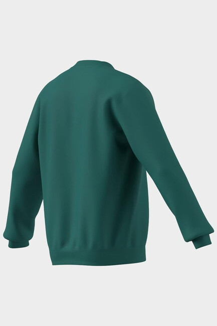 Erkek Snow Crew Sweat KE2319 Yeşil - Thumbnail