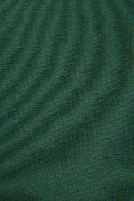Kadın Logo Baskılı Crop Tişört 1611585-71874 Yeşil - Thumbnail